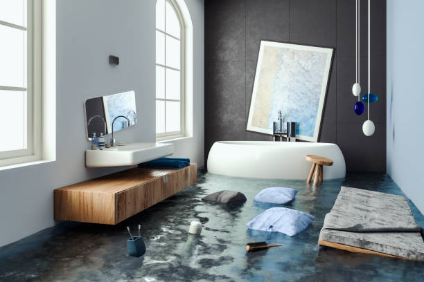 Best Professional water damage repair  in Jackson Center, OH