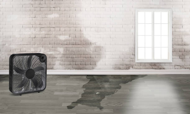 Best Commercial water damage restoration  in Jackson Center, OH