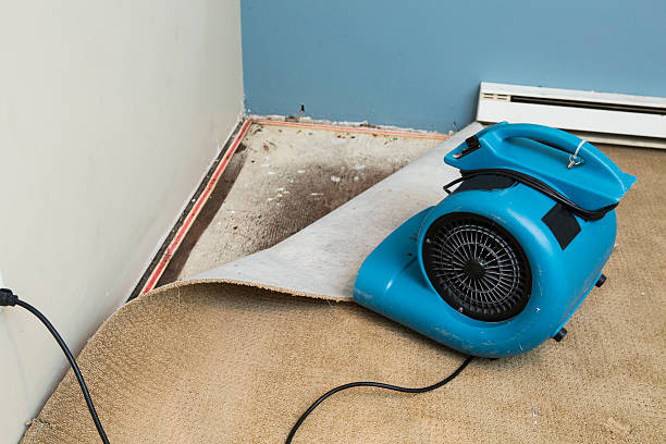 Best Fire Damage Restoration  in Jackson Center, OH